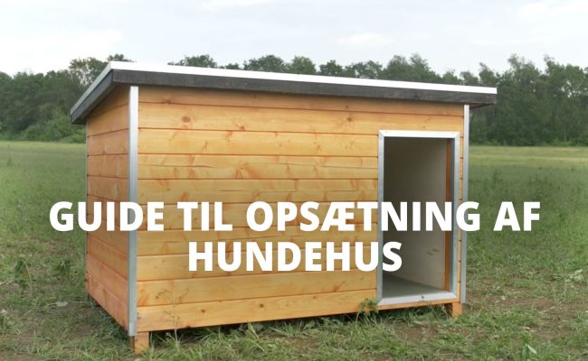 Montage af Hundehus